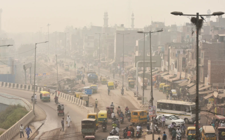 Understanding the Impact of Local Pollutants on Delhi's Air Quality Crisis