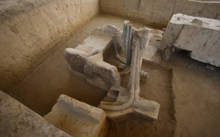 What the Sinauli Chariots Reveal About Early Indian Civilization? Rediscovering Ancient India