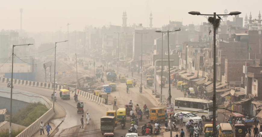 Understanding the Impact of Local Pollutants on Delhi's Air Quality Crisis