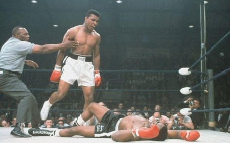Fifty Years Since the Rumble in the Jungle: The Fight That Established Muhammad Ali as the Greatest