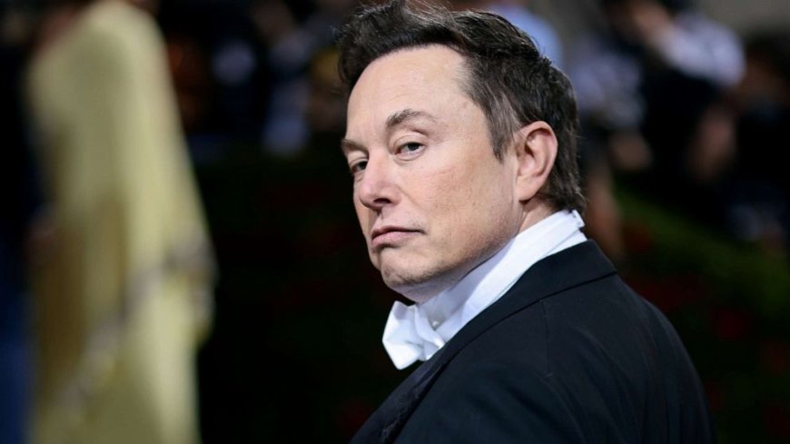 Musk's Mission to Streamline Governance: Unfettered Access to US Financial Backbone